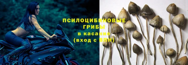 ешки Балахна