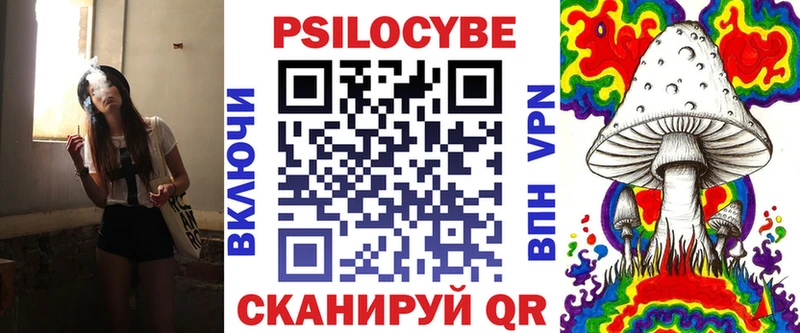 kraken рабочий сайт  Красный Холм  Псилоцибиновые грибы Psilocybine cubensis 