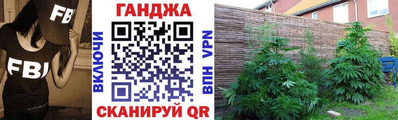 Каннабис OG Kush  Красный Холм 